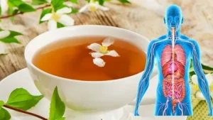 Supports Digestive Health